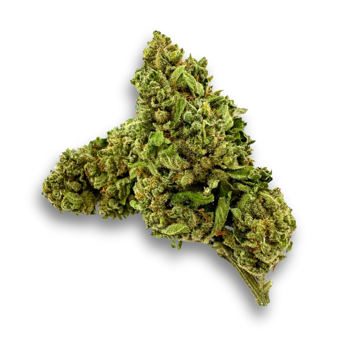 Amnesia Haze Cali Bag