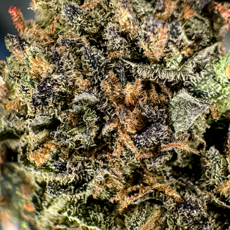 Candy Grape Blüten Lucky Hemp