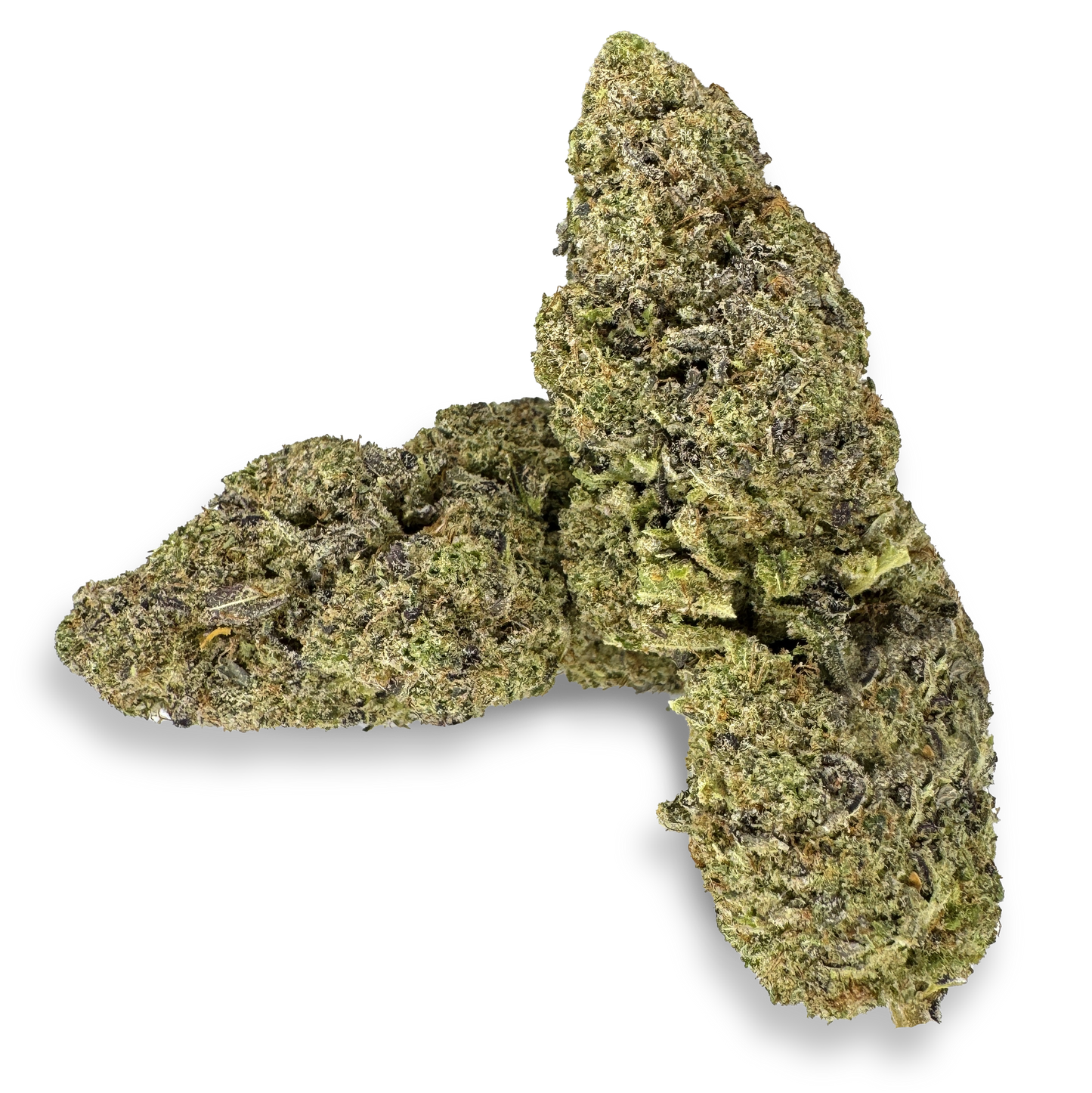 Pacchetto ecologico California Blueberry