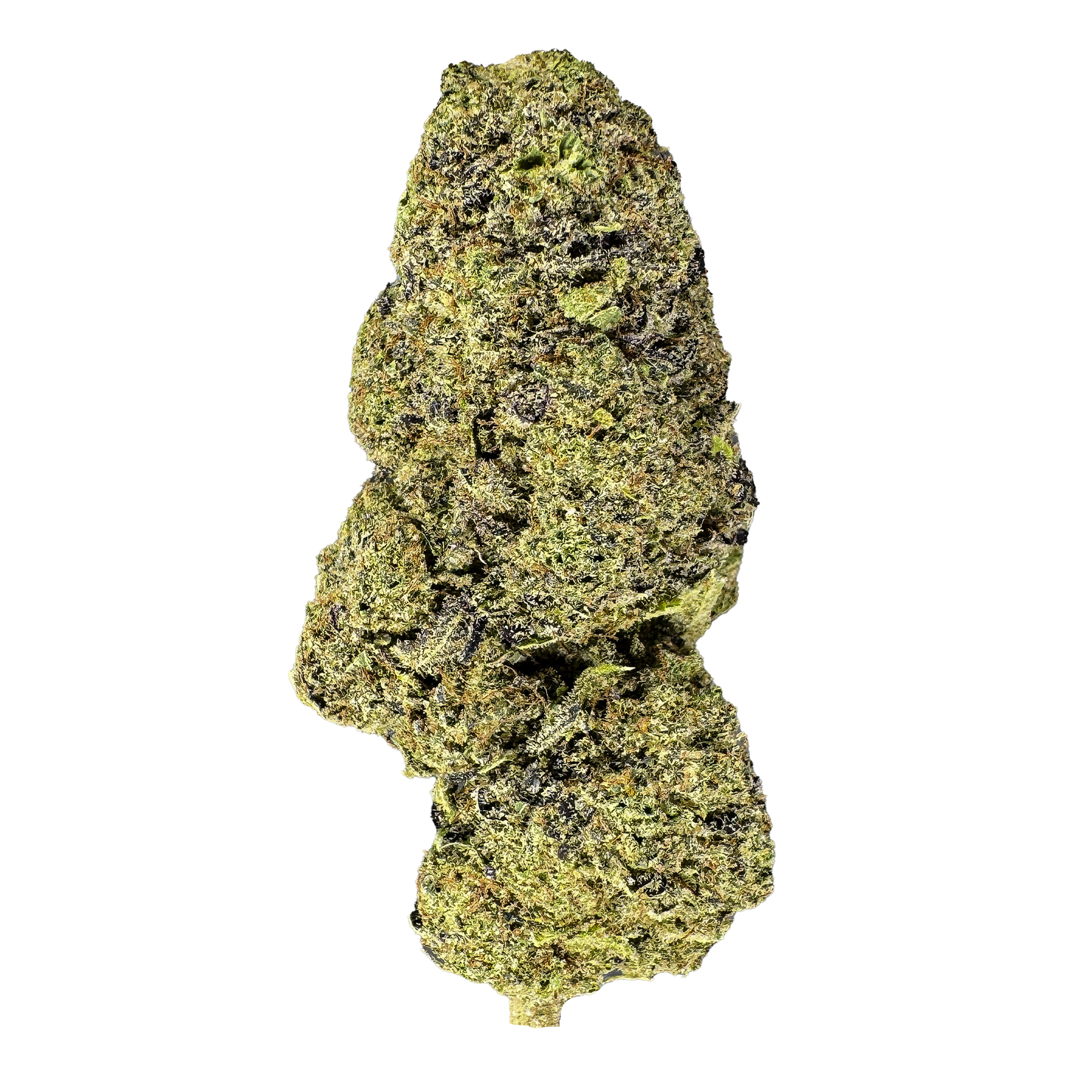 Pacchetto ecologico California Blueberry