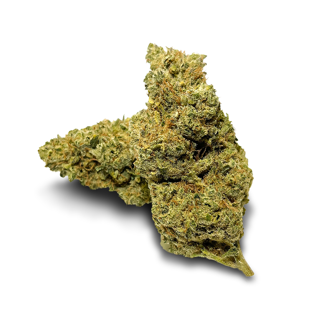 Pacchetto ecologico California Blueberry