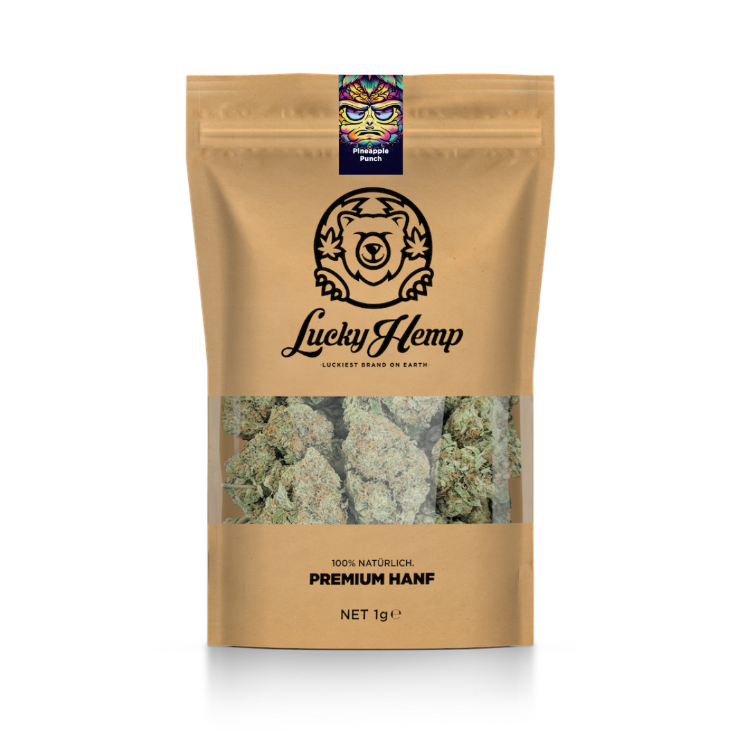 Pacchetto ecologico California Blueberry