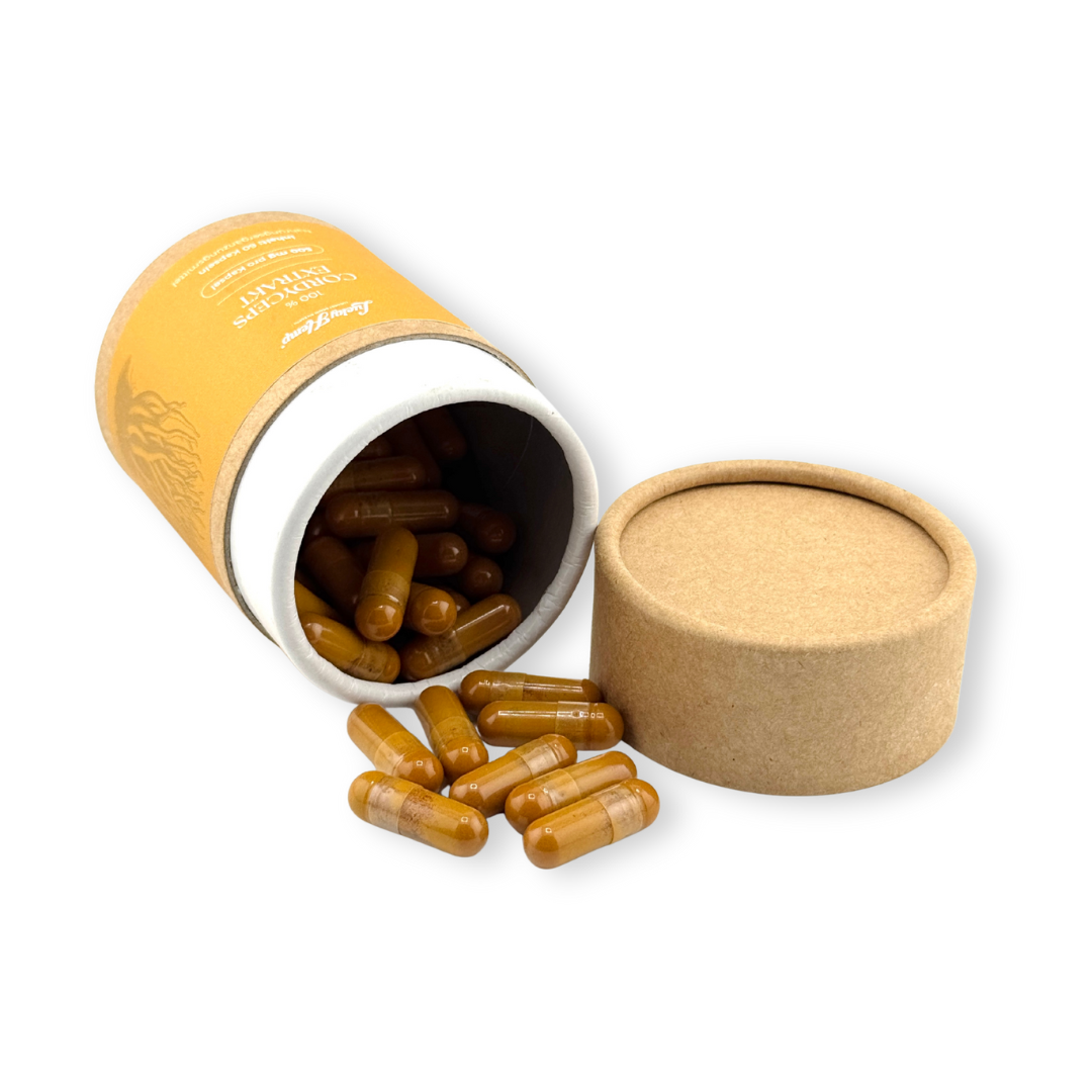 Cordyceps Extrakt