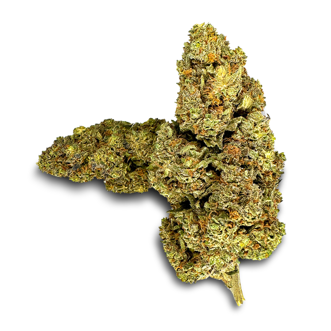 Pacchetto ecologico California Blueberry