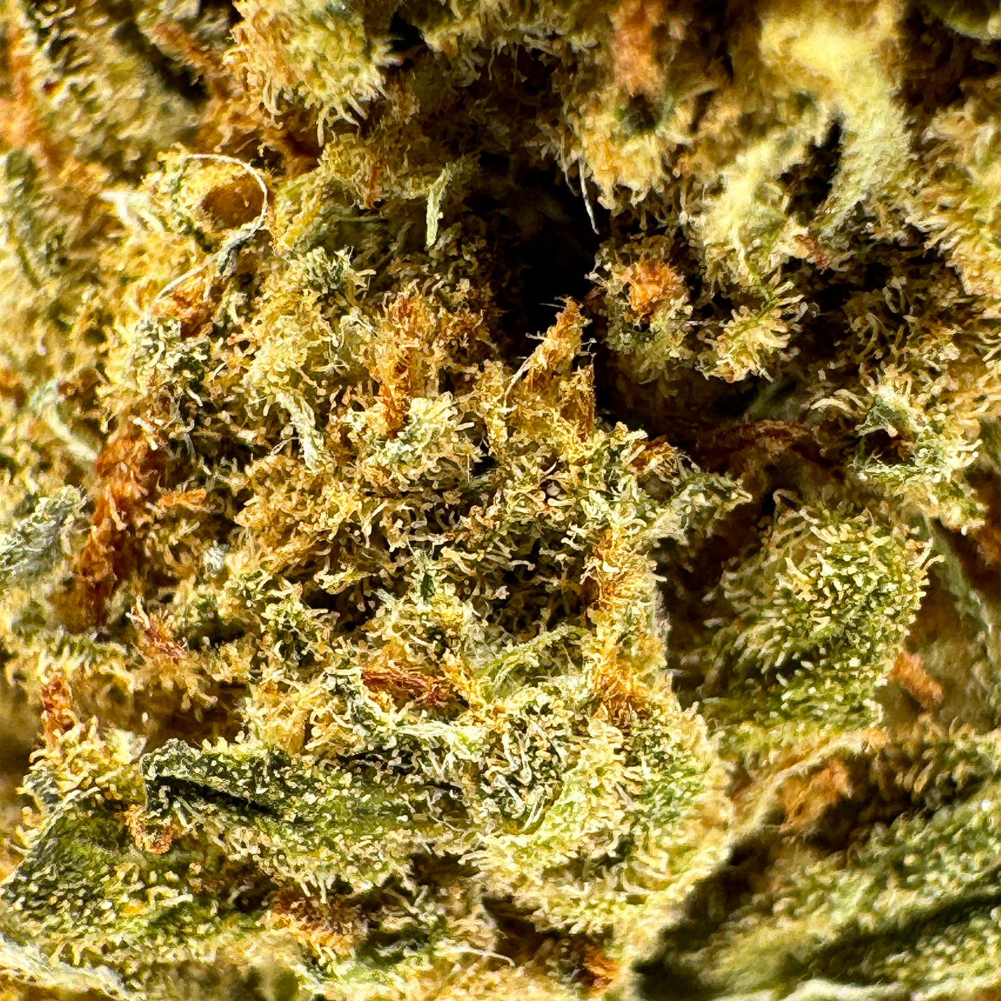 Super lemon Haze Merci sfuse