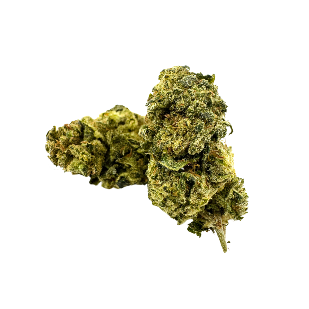 Pacchetto ecologico California Blueberry