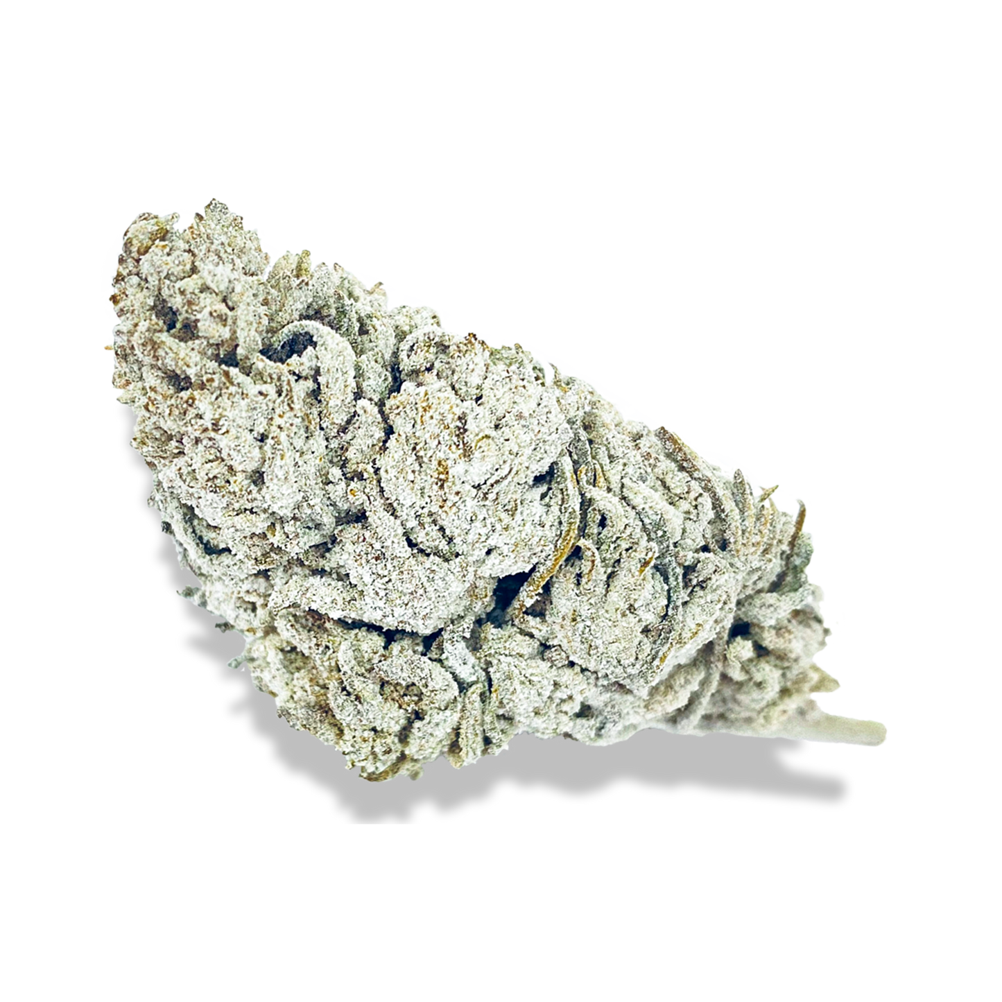 Snow Haze® 41% CBD Ökopack Blüten Lucky Hemp