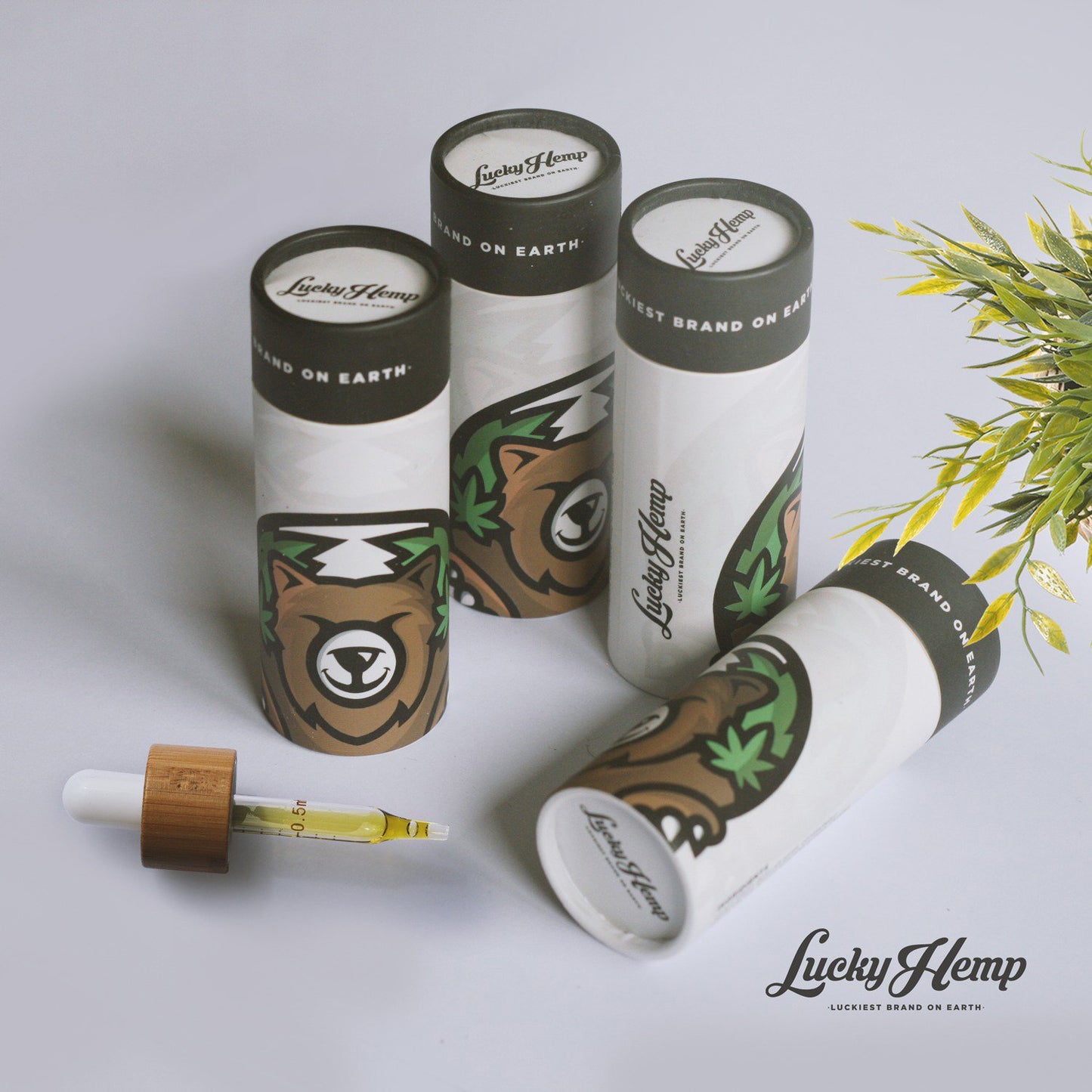 Olio CBD al 10% 1000 mg a spettro completo