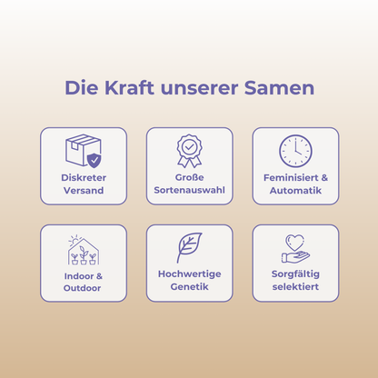 Do-Si-Dos x Runtz Samen Feminisiert