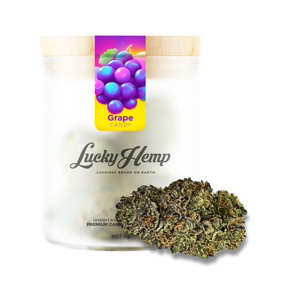 Candy Grape Blüten Lucky Hemp   