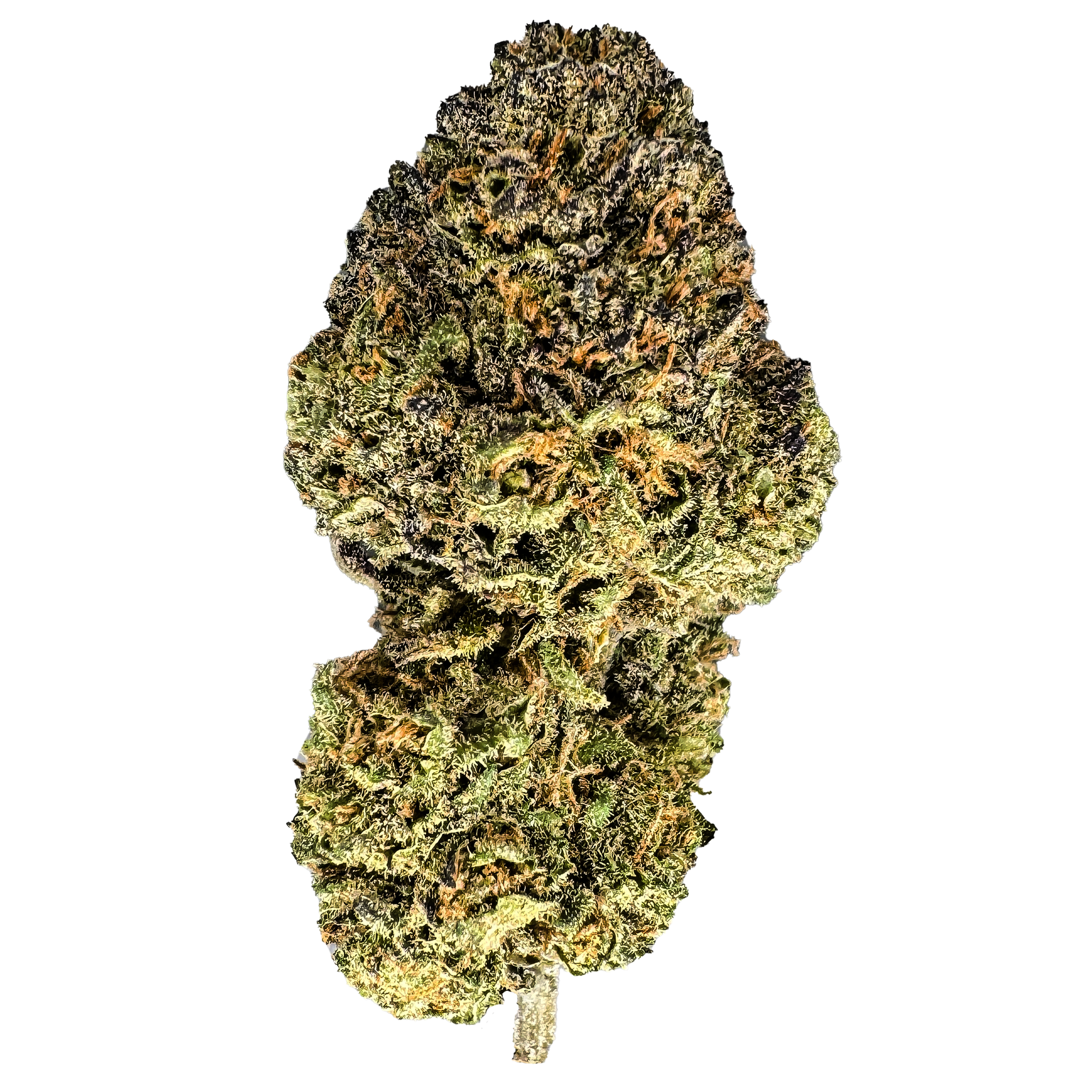 Candy Grape Blüten Lucky Hemp   