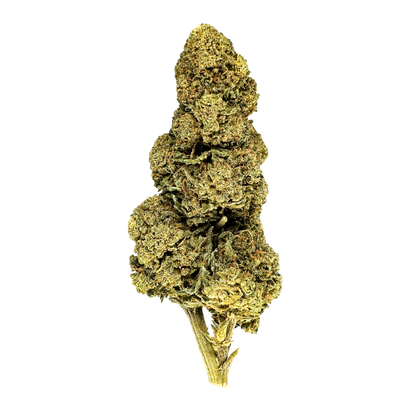 Orange Bud Merci sfuse