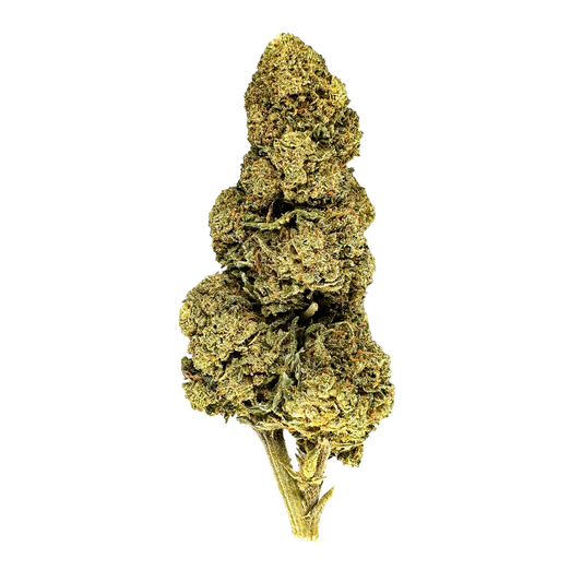 Orange Bud Merci sfuse