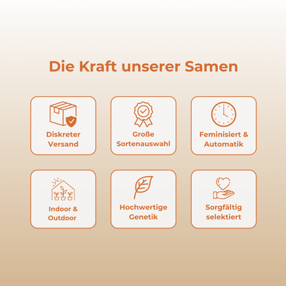 Orange CBD Samen Feminisiert
