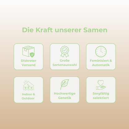 Pure CBG Samen Feminisiert