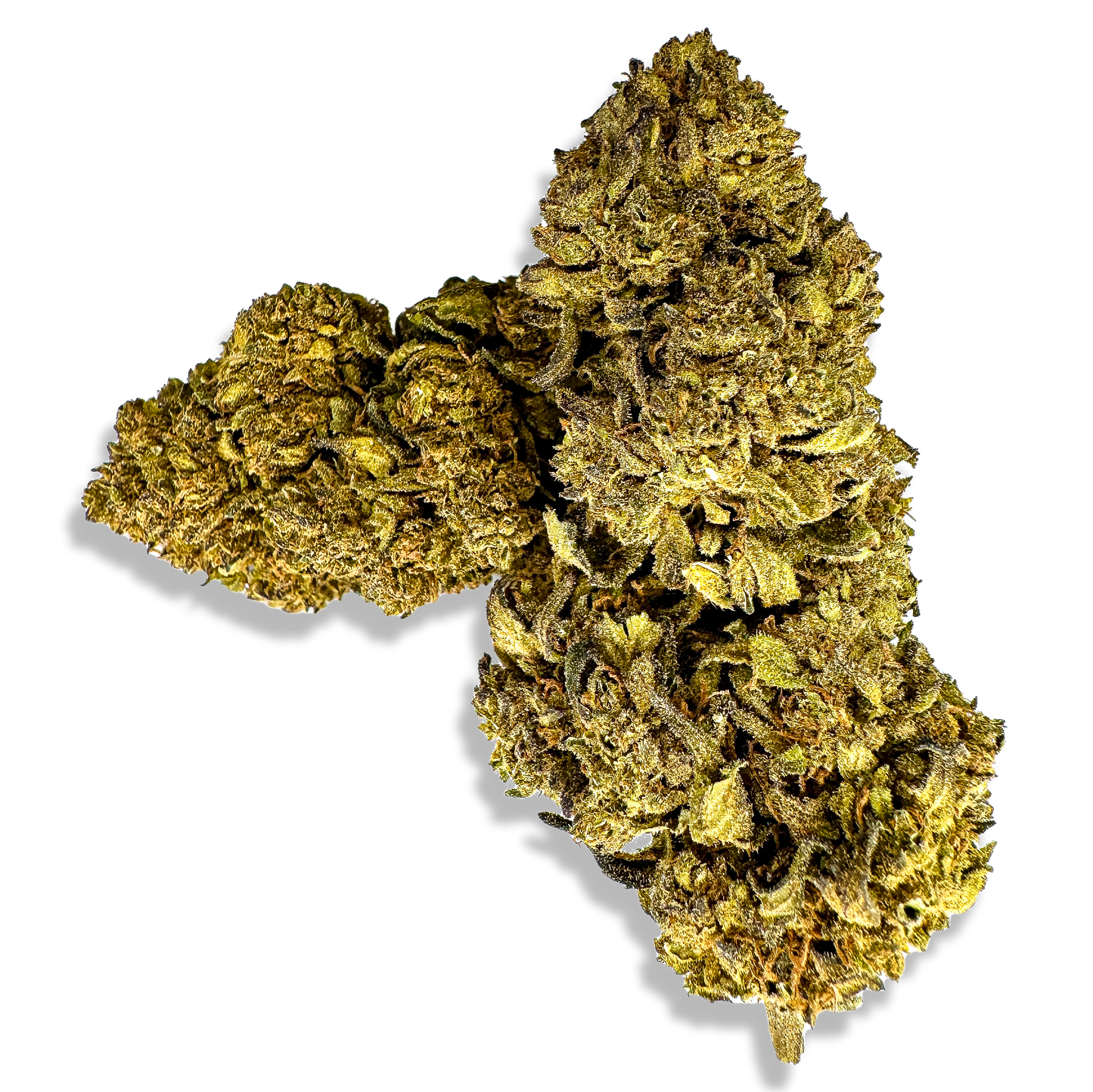 Earthquake CBD Blüten Lucky Hemp   