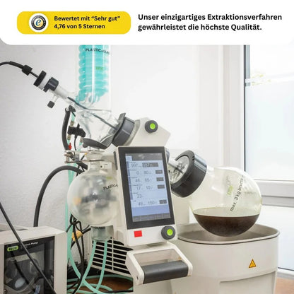 Berry Kush Merci sfuse