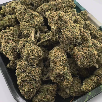 Berry Kush Merci sfuse