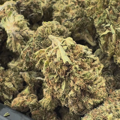 Berry Kush Merci sfuse