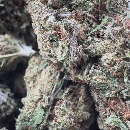 Berry Kush Merci sfuse