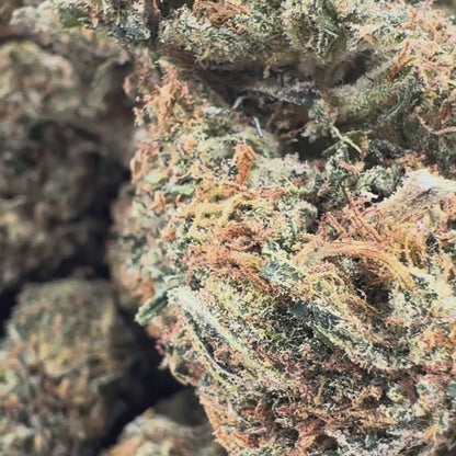 Berry Kush Merci sfuse
